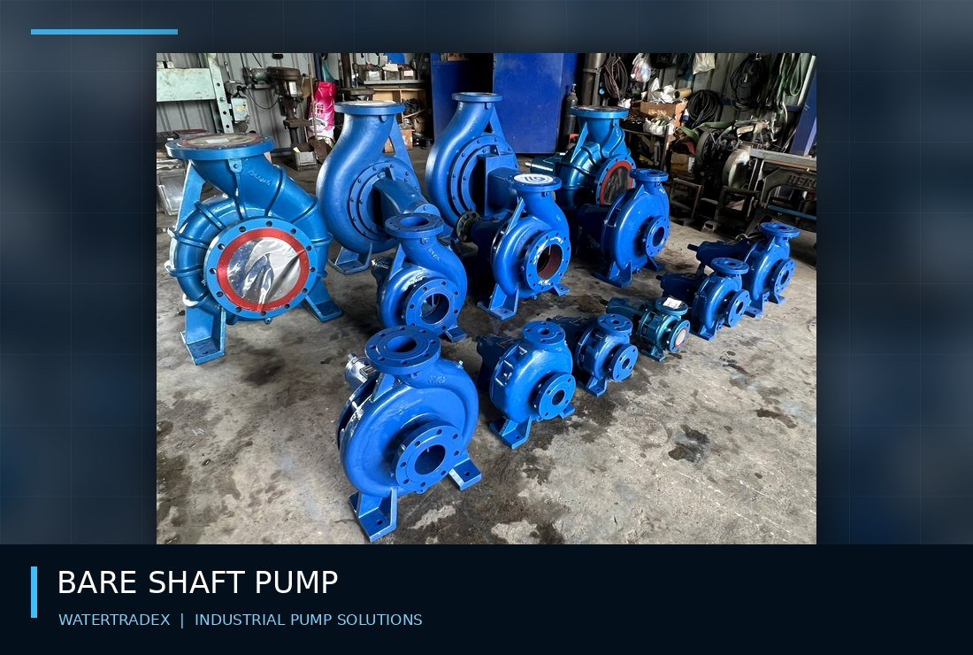Bare Shaft Pump